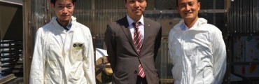 銀座でミツバチを飼育して9年目。”銀ぱち”広報の田中さんに聞いた街づくりの秘訣