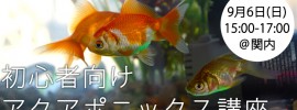 【国内初】初心者向けアクアポニックス講座、9月6日（日）関内にて開催！基礎を学ぼう、はじめよう