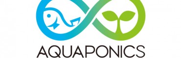 【お知らせ】野菜と魚を育てる農業「アクアポニックス」の学校を開校します。全7回の基礎コース、受講者には100ページのマニュアルも配布