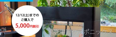 【発売中】家庭用アクアポニックス「アクアスプラウト」