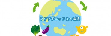 未来の農業「アクアポニックス」の循環の解説ーーバクテリアの働き