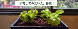 遊休地求む！未来の農業「アクアポニックス」を所有したい人を大募集！