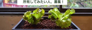 遊休地求む！未来の農業「アクアポニックス」を所有したい人を大募集！