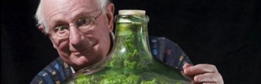 水やりは53年間で一度だけ。この男性が育ててきたボトル菜園が神秘的すぎる