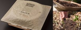 食器がプランターに変身。100%土に還るエコな容器で地球にやさしくなろう