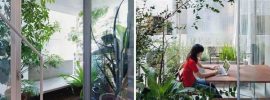 まさに”菜園住宅”！日本の建築家がつくったおうちは窓なしの解放ガーデニング空間