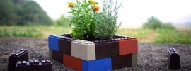 【開発ストーリー】ブロックで組み立てる小さな畑「ガーデンブロック」に込められた家庭菜園ビギナーへの想い