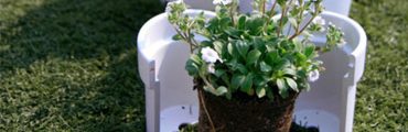 植え替え時に「パカッ」と割れる！移植がカンタンになるプランター「Re-flowerpot」