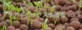 【イベント開催】 未来の農業について語ろう ~アクアポニックス交流会Vol. 1~ 【イベント開催】 未来の農業について語ろう ~アクアポニックス交流会Vol. 1~