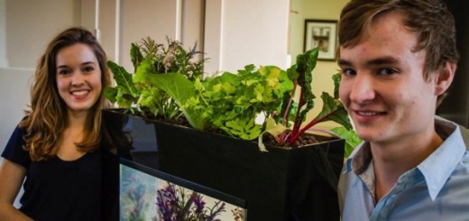 家庭菜園とアクアリウムが合体。米国の大学生が開発したアクアポニックス栽培キット「AquaSprouts」