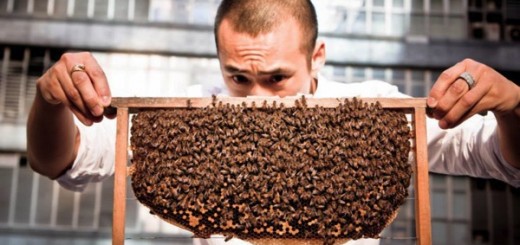 デザイナーが養蜂家に。香港のビルの屋上でハチミツを生産する「HK Honey」