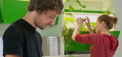 本棚で菜園！ドイツの大学生がデザインしたコンポスト連携型菜園「Parasite Farm」