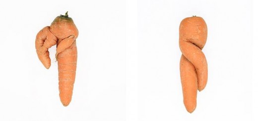 綺麗な野菜がおいしいとは限らない。欠陥のあるニンジン写真集『Defective Carrots』が伝えるもの