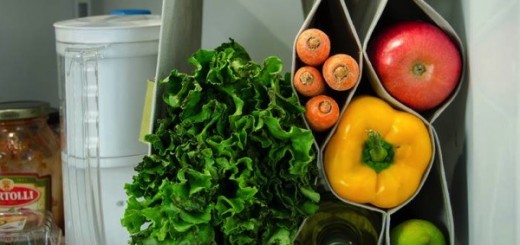 冷蔵庫で野菜を腐らせている人へ。その悩み「Fabrack」が解決してくれるかも
