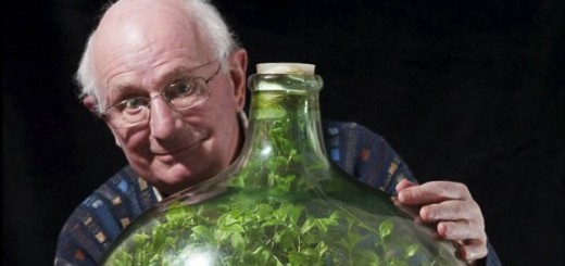 水やりは53年間で一度だけ。この男性が育ててきたボトル菜園が神秘的すぎる