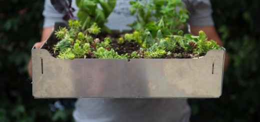 コンクリート上でも家庭菜園を。DIY菜園タイル「FAIRMOUNT」で屋上やベランダに緑を敷き詰めよう