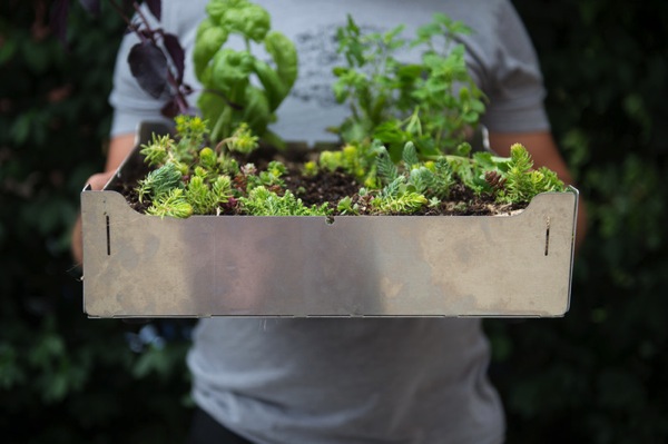 コンクリート上でも家庭菜園を。DIY菜園タイル「FAIRMOUNT」で屋上や