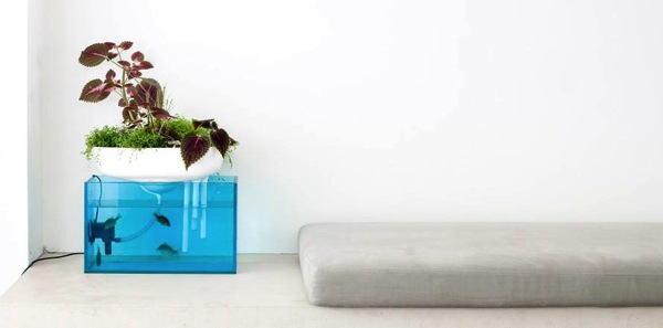 100%新品 §フランスの菜園から§ガーデニング好きに贈るポップアップブック