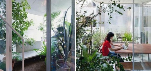 まさに"菜園住宅"！日本の建築家がつくったおうちは窓なしの解放ガーデニング空間