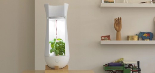 ライトの色で植物の健康を教えてくれる栽培システム「The Eva Lamp」