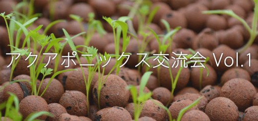 【イベント開催】 未来の農業について語ろう　～アクアポニックス交流会Vol. 1～