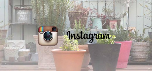 アロマガーデン公式Instagramアカウントを開設しました
