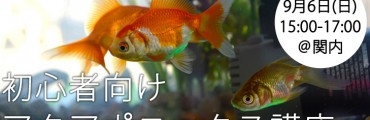 【国内初】初心者向けアクアポニックス講座、9月6日（日）関内にて開催！基礎を学ぼう、はじめよう