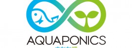 【お知らせ】野菜と魚を育てる農業「アクアポニックス」の学校を開校します。全7回の基礎コース、受講者には100ページのマニュアルも配布 【お知らせ】野菜と魚を育てる農業「アクアポニックス」の学校を開校します。全7回の基礎コース、受講者には100ページのマニュアルも配布