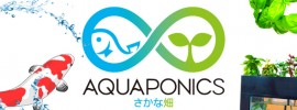 アクアポニックス公式コミュニティを開設しました