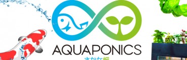 アクアポニックス公式コミュニティを開設しました