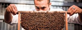 デザイナーが養蜂家に。香港のビルの屋上でハチミツを生産する「HK Honey」