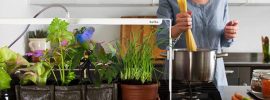 日当りが悪くてもおしゃれな菜園生活を。イタリアで生まれた室内菜園専用のLEDライト「bulbo」