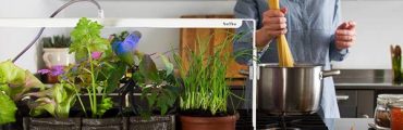 日当りが悪くてもおしゃれな菜園生活を。イタリアで生まれた室内菜園専用のLEDライト「bulbo」
