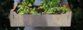 コンクリート上でも家庭菜園を。DIY菜園タイル「FAIRMOUNT」で屋上やベランダに緑を敷き詰めよう