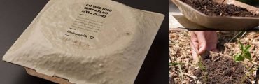 食器がプランターに変身。100%土に還るエコな容器で地球にやさしくなろう