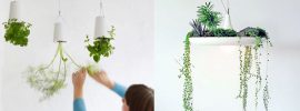 家庭菜園は庭とベランダだけじゃない。アイデアが広がる世界の栽培グッズ11選