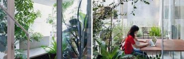 まさに”菜園住宅”！日本の建築家がつくったおうちは窓なしの解放ガーデニング空間