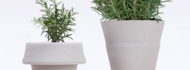 もう鉢のサイズ選びで悩まない！植物と一緒に成長するプランター「fold pot」