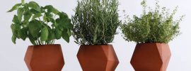 数学的な美しさを持つ鉢。イギリスで生まれた陶器（テラコッタ）プランター「Geometric Pot」