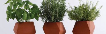 数学的な美しさを持つ鉢。イギリスで生まれた陶器（テラコッタ）プランター「Geometric Pot」