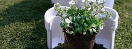 植え替え時に「パカッ」と割れる!移植がカンタンになるプランター「Re-flowerpot」 植え替え時に「パカッ」と割れる!移植がカンタンになるプランター「Re-flowerpot」