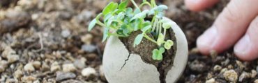緑化ワークショップ。みんなで”種だんご”をつくって放り投げよう！