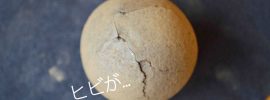 種だんごづくりは意外と難しい?ヒビとしっかり向き合おう 種だんごづくりは意外と難しい?ヒビとしっかり向き合おう