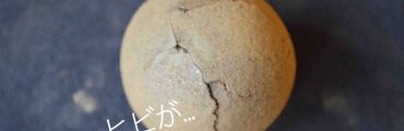 種だんごづくりは意外と難しい？ヒビとしっかり向き合おう