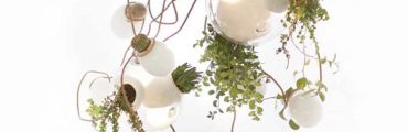照明プランターはここまでオシャレに！カナダ生まれのシャンデリアみたいな植木
