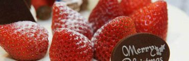 いちごの旬は初夏。それでも私達が冬に食べられる理由ーーミツバチのポリネーション